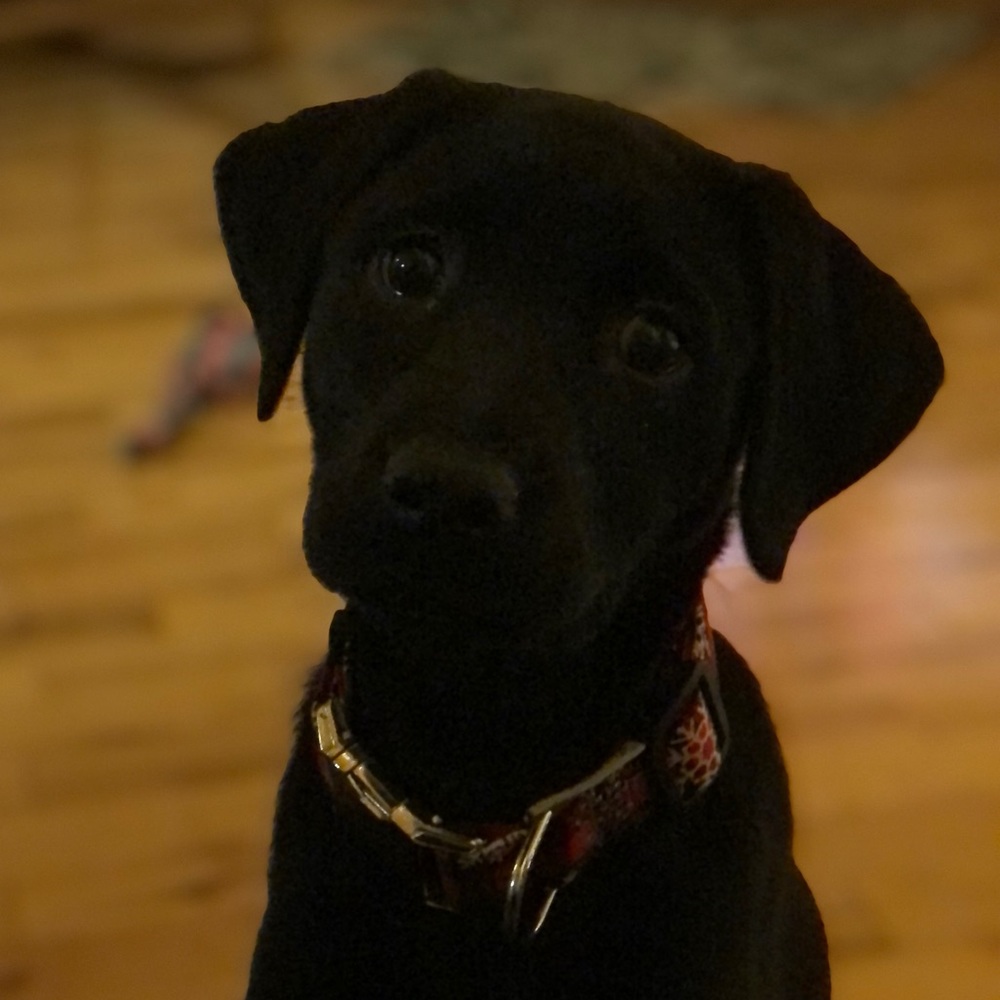 Meet your Posher, Nadia